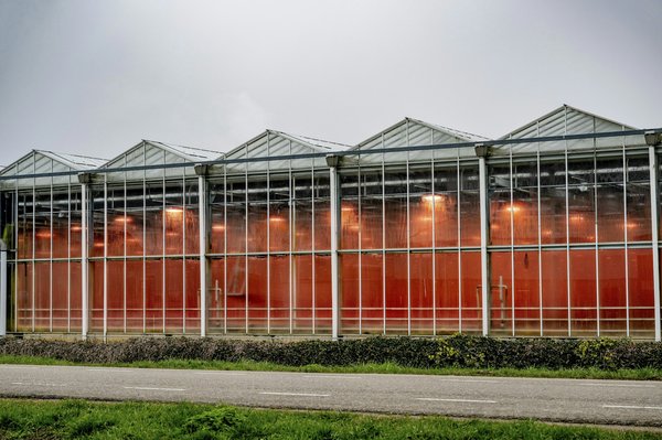 Découvrez les lampes LED horticoles professionnels