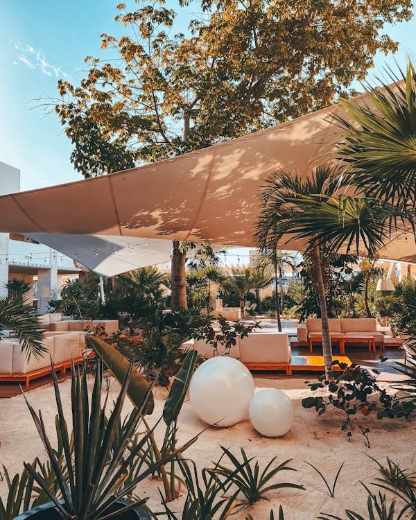 Toile de coco : optimisez votre espace extérieur avec style